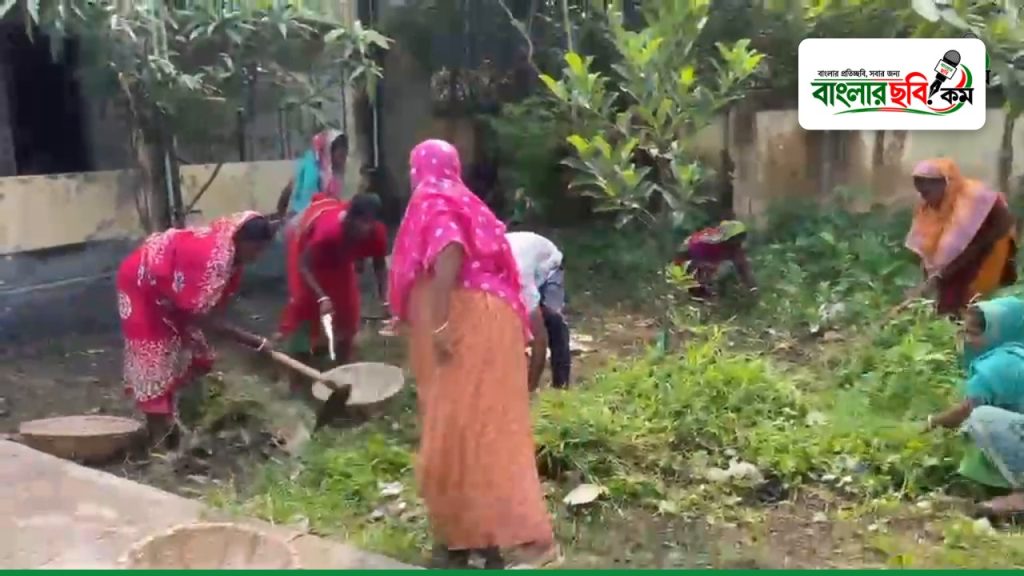 সাভারের পাথালিয়ায় ডেঙ্গু প্রতিরোধে মশক নিধন ও পরিচ্ছন্নতা অভিযান